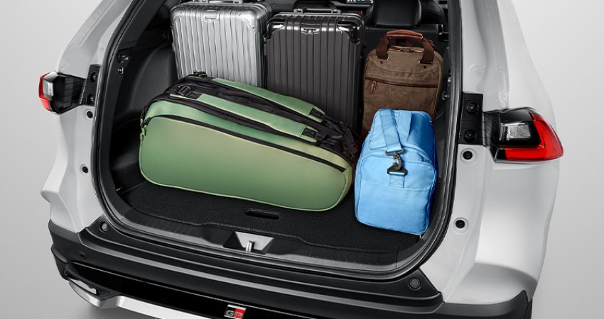 Cozy Spacious Luggage (All Type)