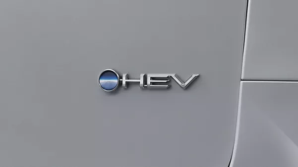 d3wJP7o3LUN1cyoqDwi14qGlmI3cu7GRWJm8D39n